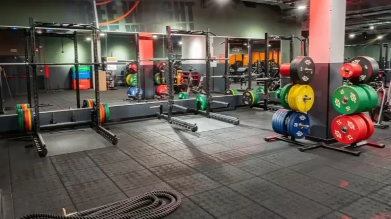 Basic - Fit El Alisal