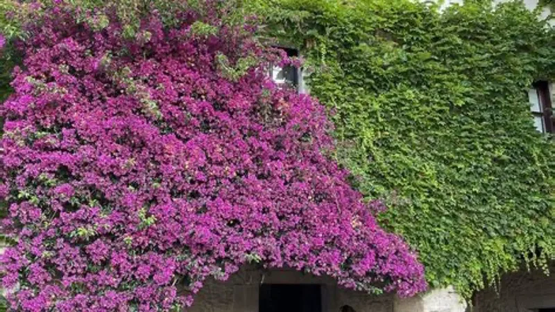 Lourdes Gómez Peluquería