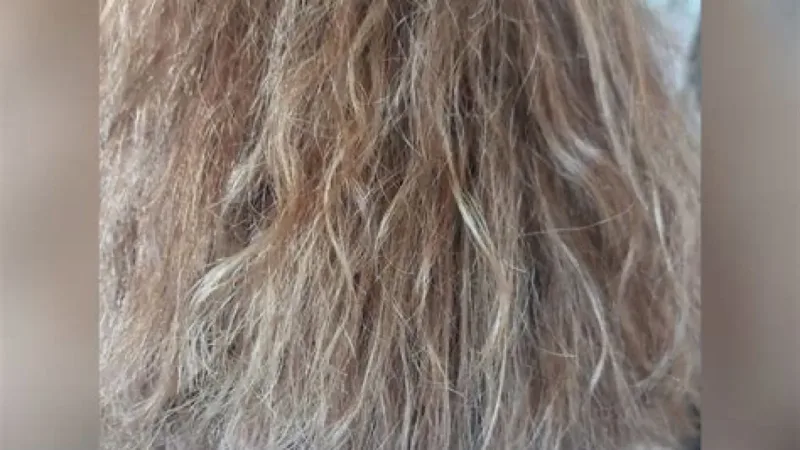 Salón de Peluquería Maroy