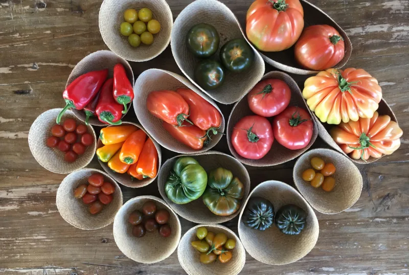 Foto de La Caseta de Bombas