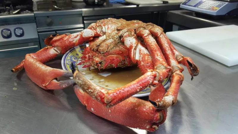 Foto de Restaurante Gele