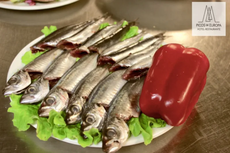 Foto de Restaurante Picos de Europa