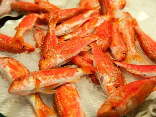 Foto de Restaurante Posada Del Mar