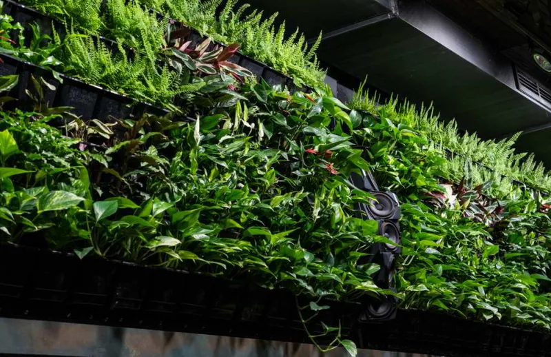 Foto de Grog Santander