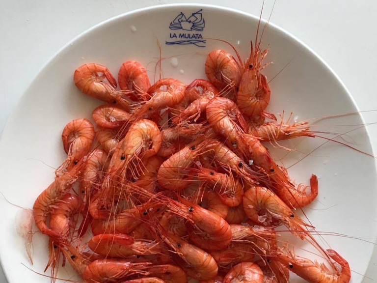 La Mulata