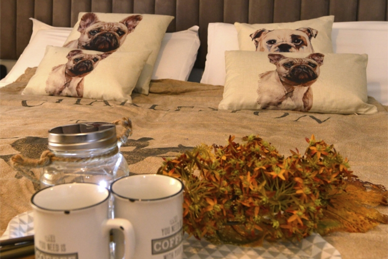 Center Suite Santander